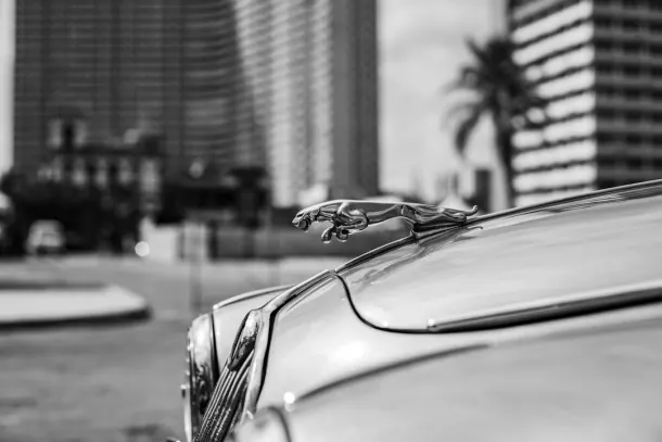 Cazino Extra Cazinou Aplicație Android/iOS